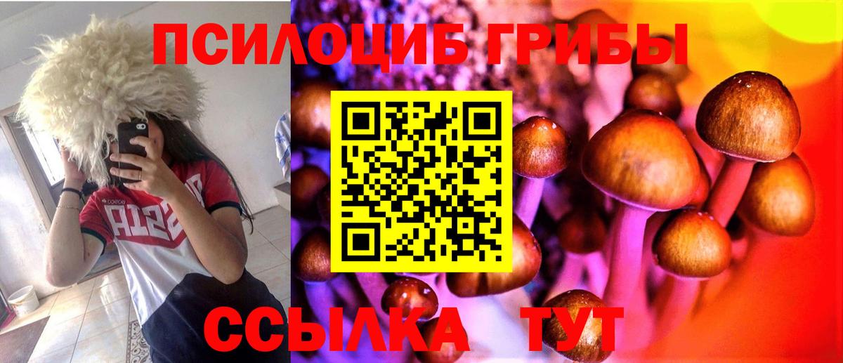 Нефтеюганск  где найти   Вход с VPN  Псилоцибиновые грибы Psilocybine cubensis 
